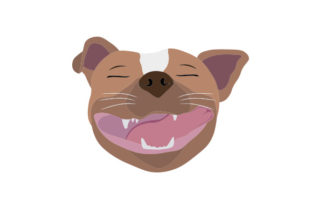 Pitbull with Funny Smile: A Designer's Real-World Review